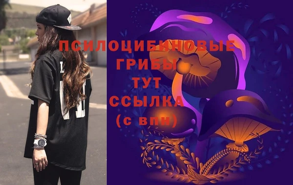 крисы Абинск