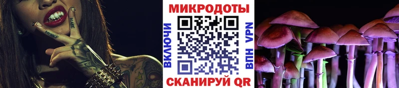 hydra tor Вытегра Псилоцибиновые грибы GOLDEN TEACHER
